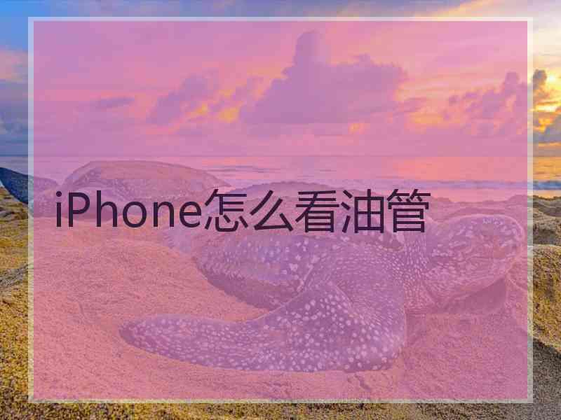 iPhone怎么看油管
