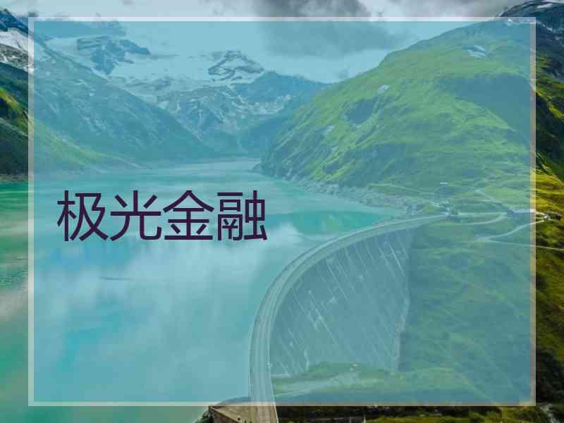 极光金融