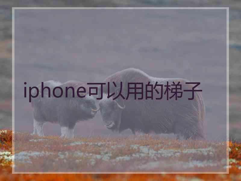 iphone可以用的梯子