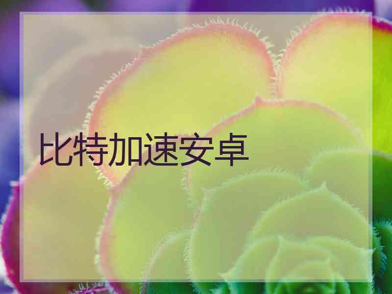 比特加速安卓