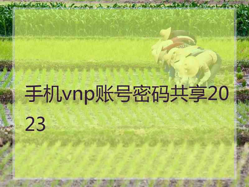 手机vnp账号密码共享2023