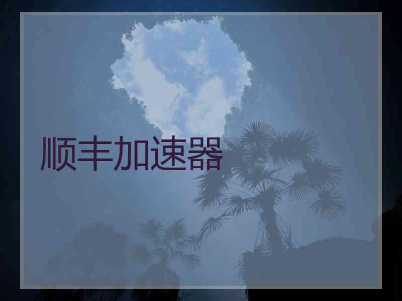 顺丰加速器