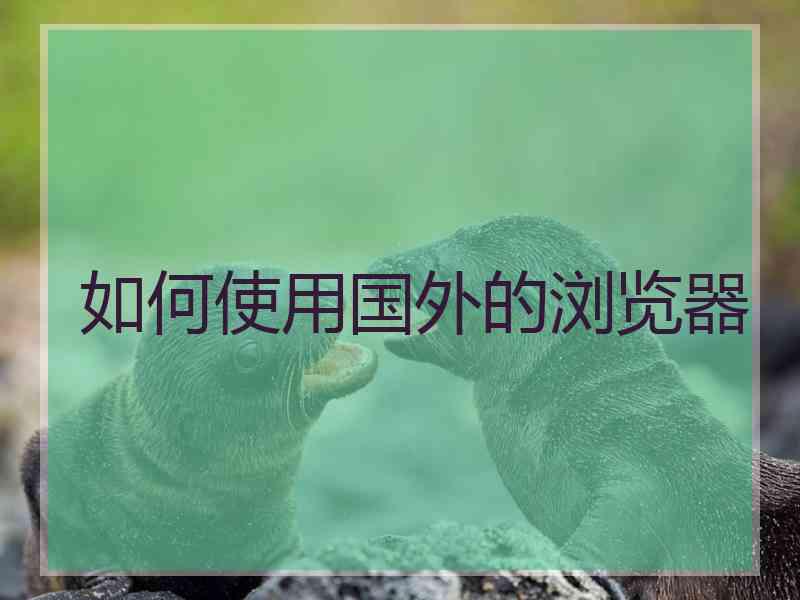 如何使用国外的浏览器