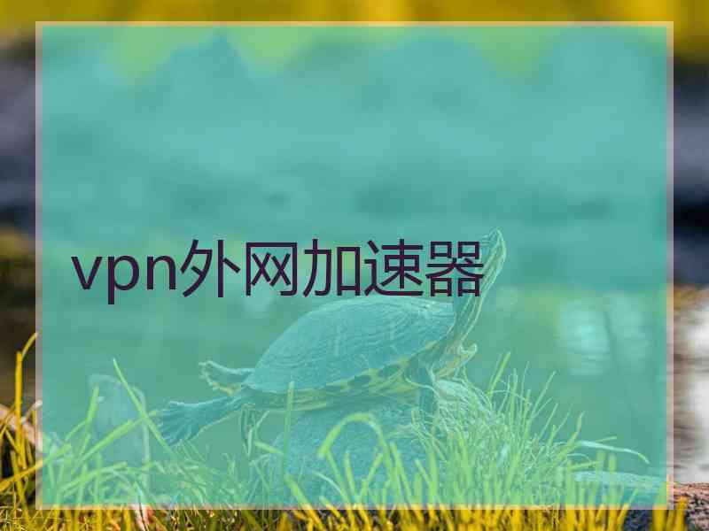 vpn外网加速器