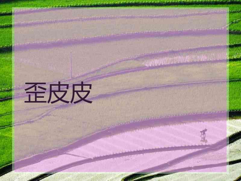 歪皮皮