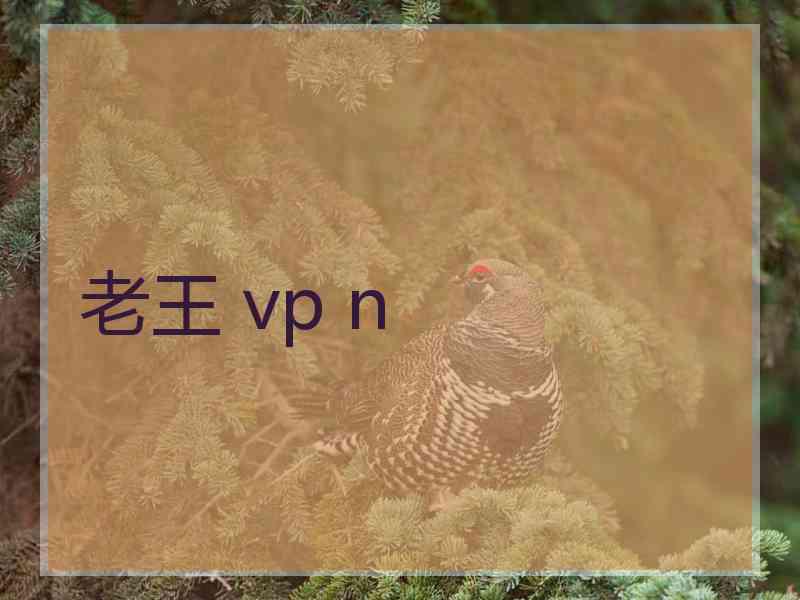 老王 vp n