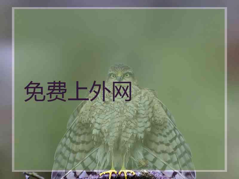 免费上外网