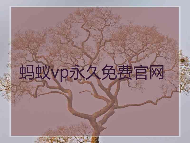 蚂蚁vp永久免费官网