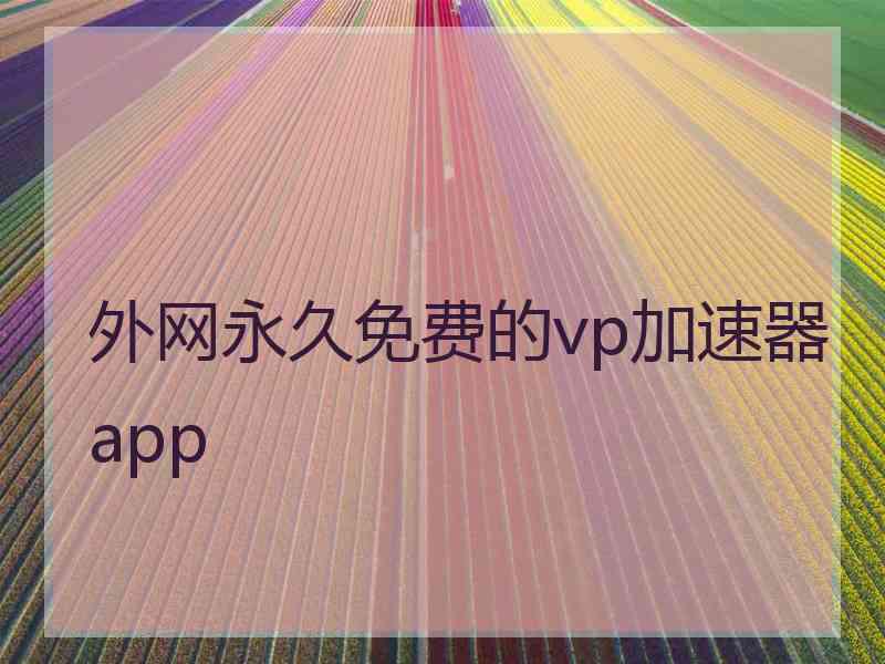 外网永久免费的vp加速器app