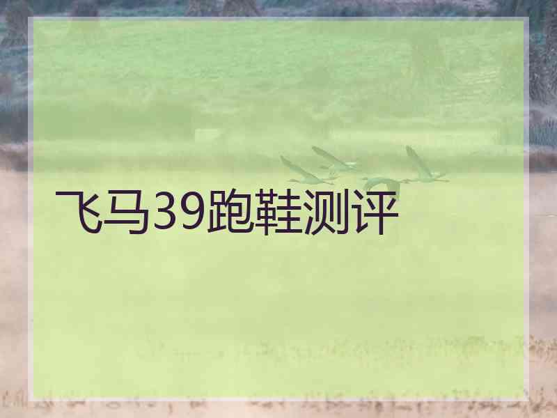 飞马39跑鞋测评
