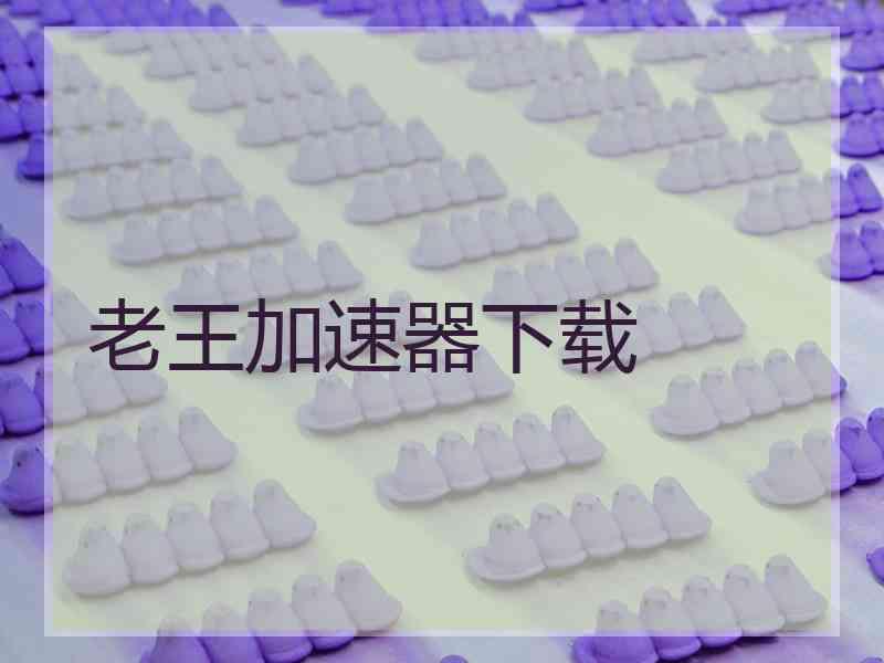 老王加速器下载