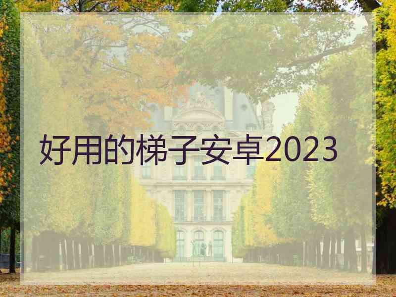 好用的梯子安卓2023