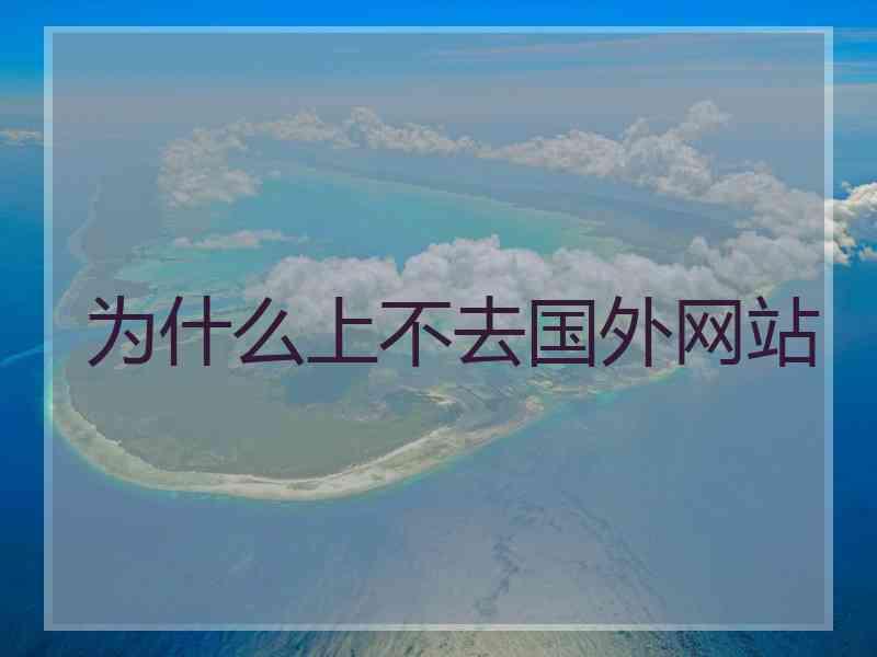 为什么上不去国外网站
