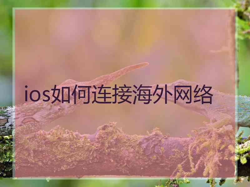 ios如何连接海外网络