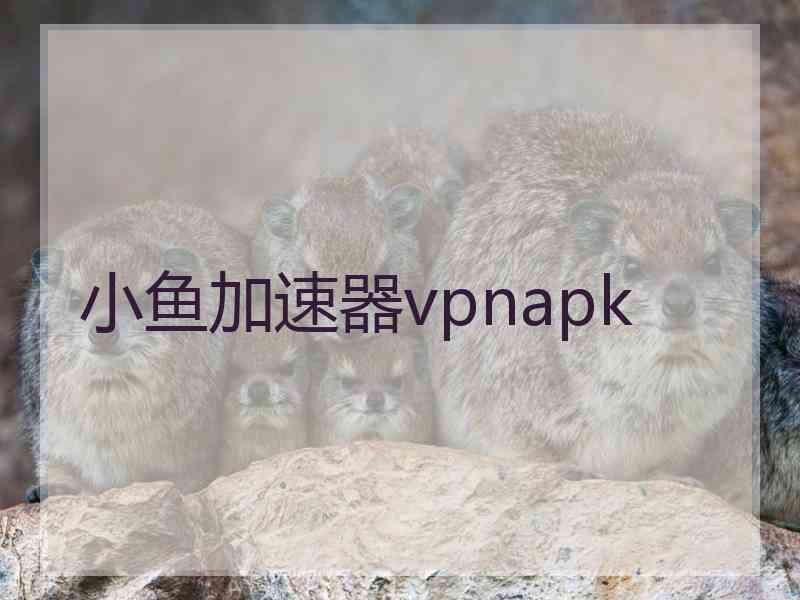 小鱼加速器vpnapk