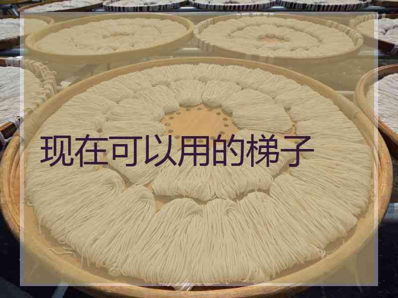 现在可以用的梯子