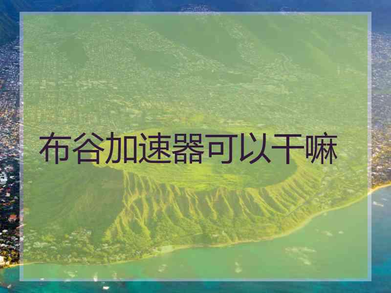 布谷加速器可以干嘛