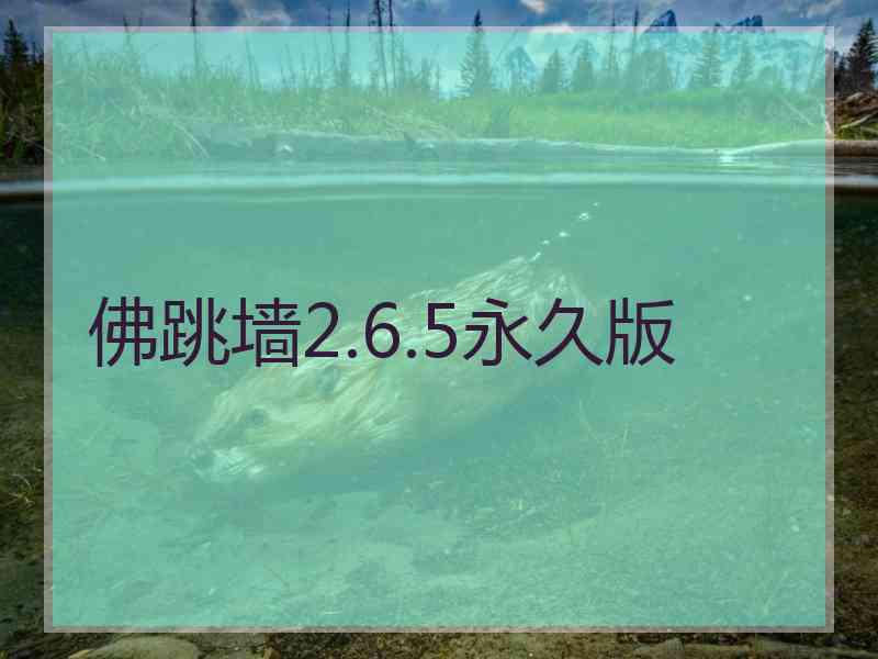 佛跳墙2.6.5永久版