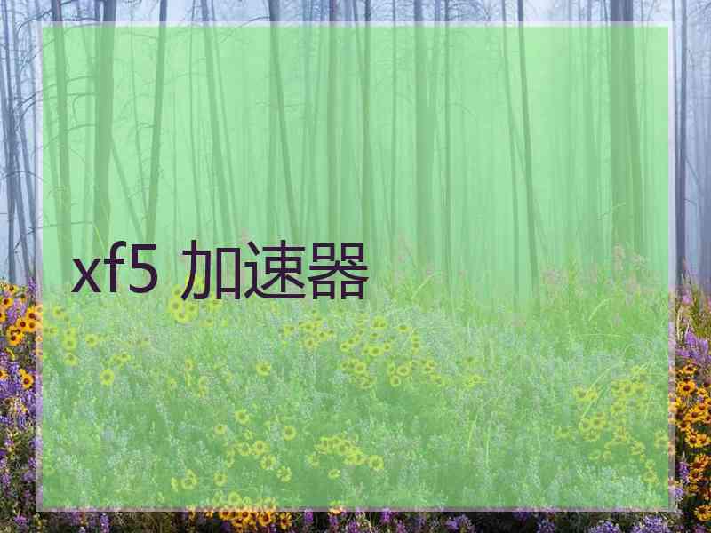 xf5 加速器