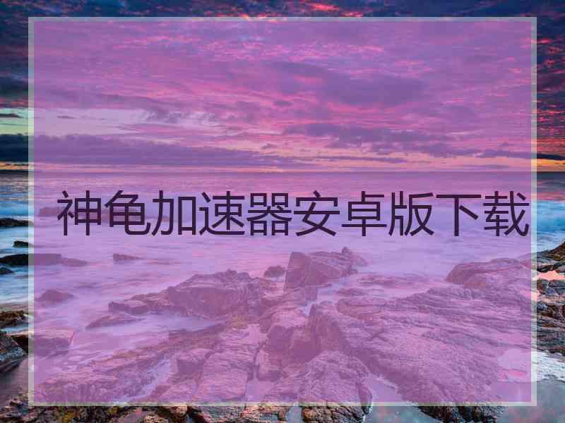 神龟加速器安卓版下载