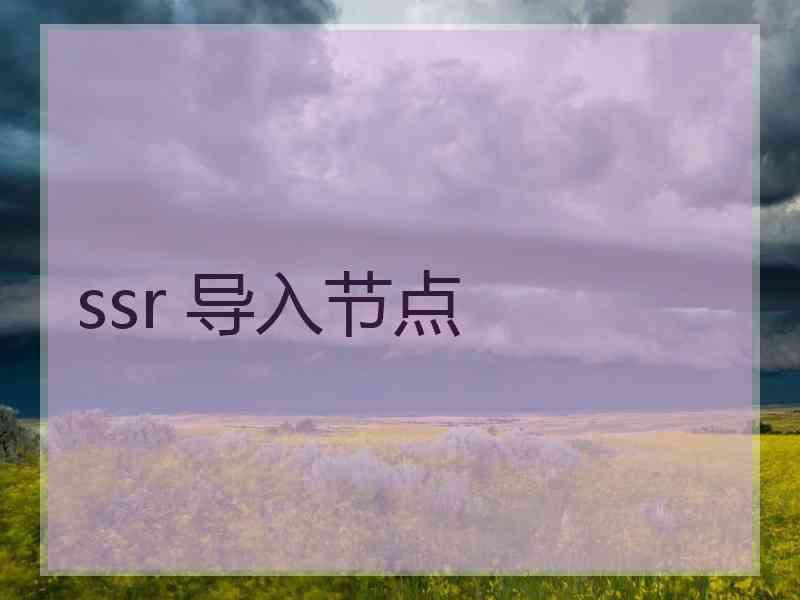 ssr 导入节点