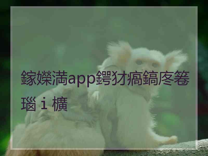 鎵嬫満app鍔犲瘑鎬庝箞瑙ｉ櫎