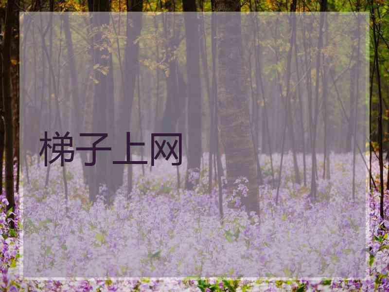 梯子上网