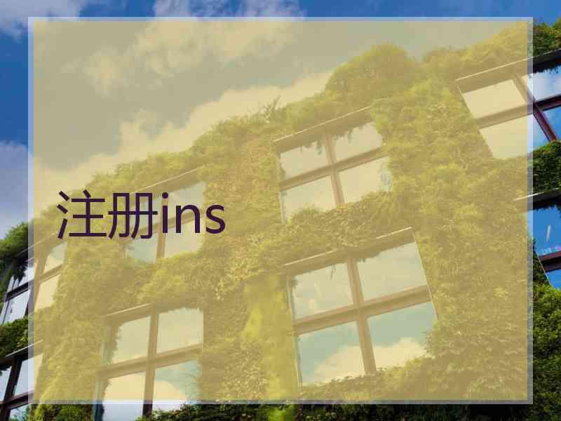 注册ins