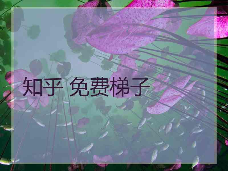 知乎 免费梯子