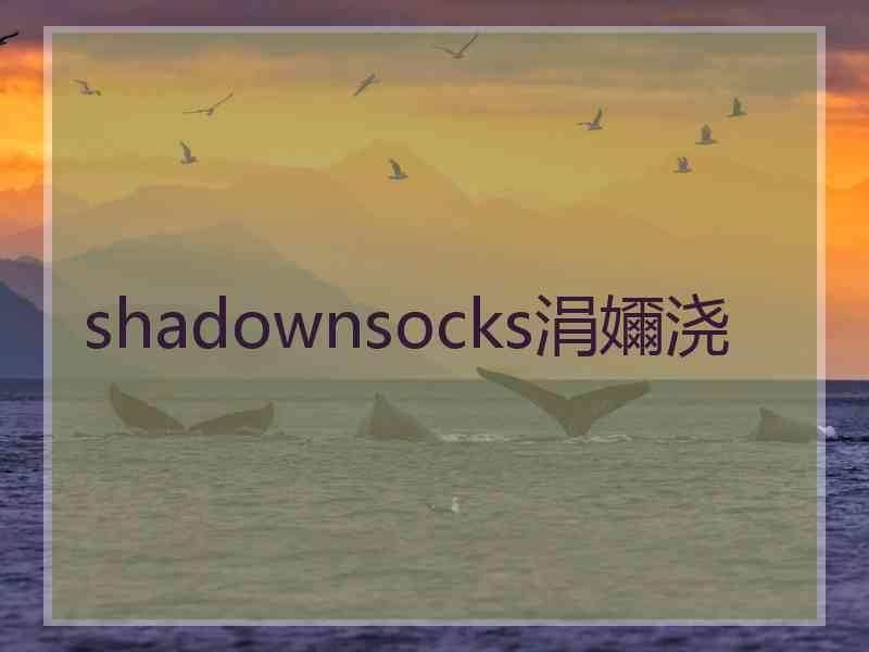 shadownsocks涓嬭浇