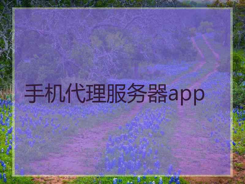 手机代理服务器app