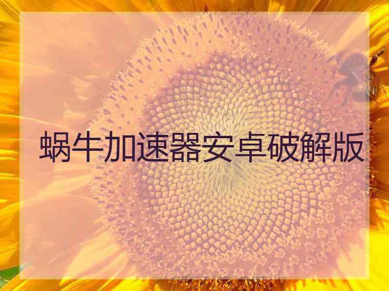 蜗牛加速器安卓破解版