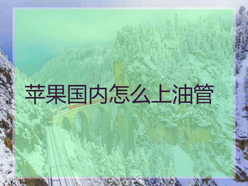 苹果国内怎么上油管