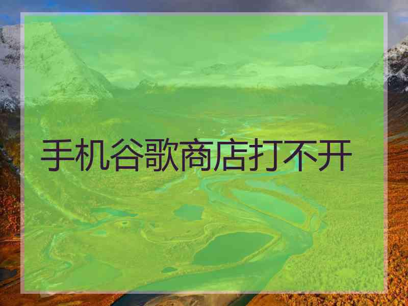 手机谷歌商店打不开