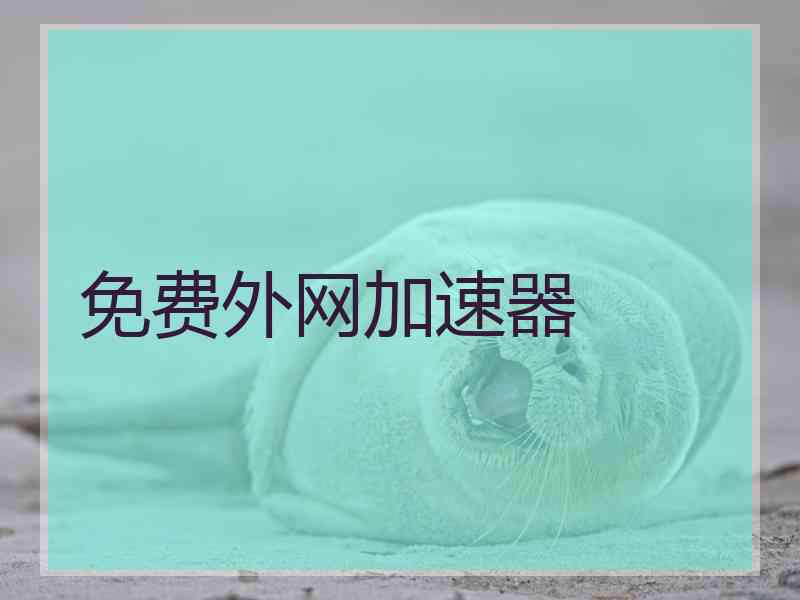 免费外网加速器
