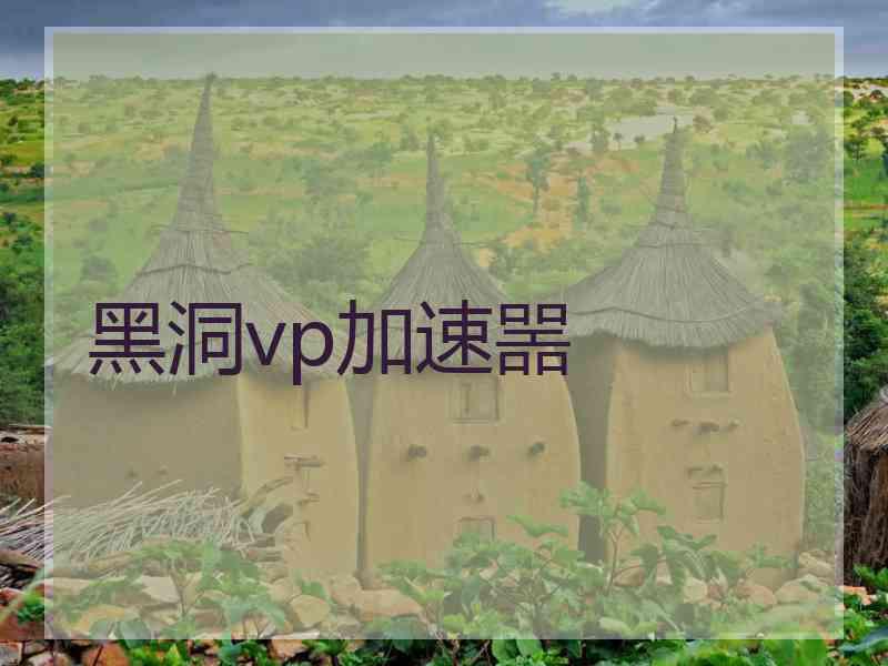 黑洞vp加速噐
