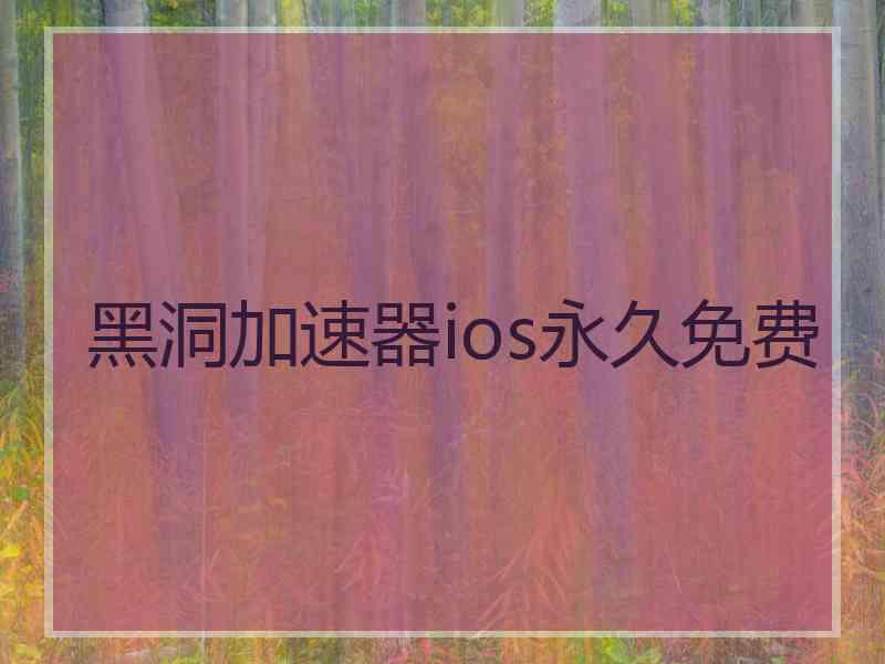 黑洞加速器ios永久免费