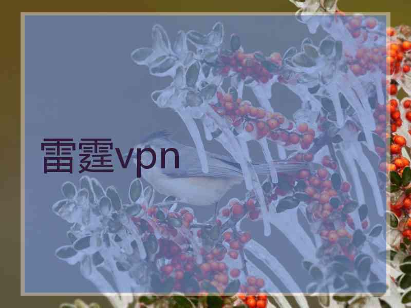 雷霆vpn