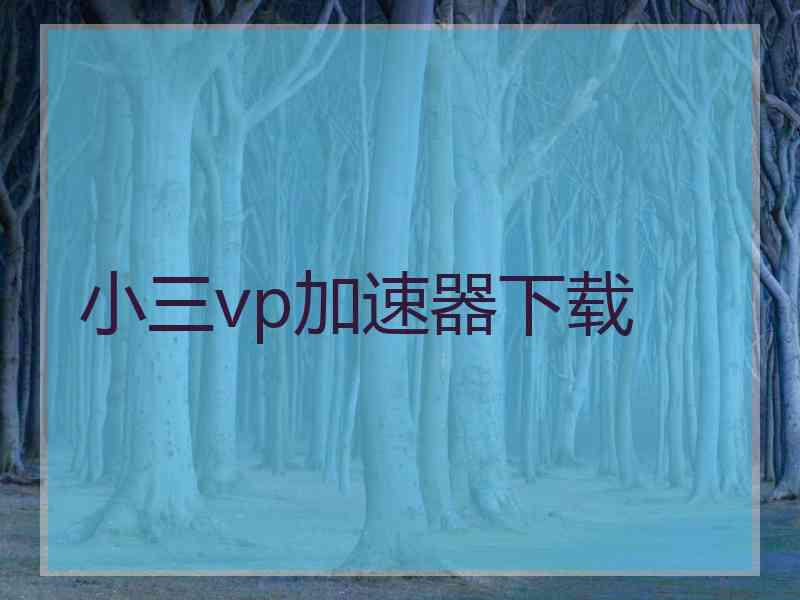 小三vp加速器下载