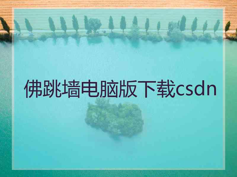 佛跳墙电脑版下载csdn