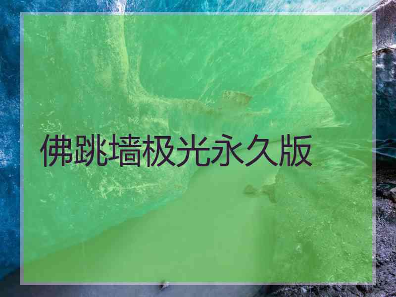 佛跳墙极光永久版