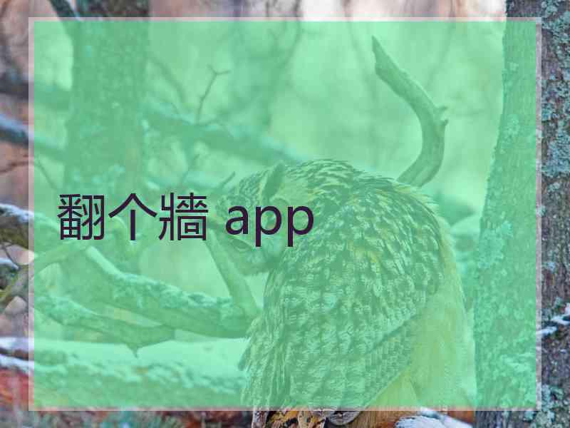 翻个牆 app