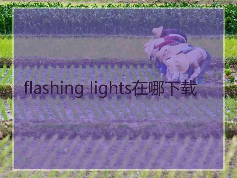 flashing lights在哪下载
