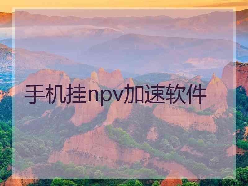 手机挂npv加速软件