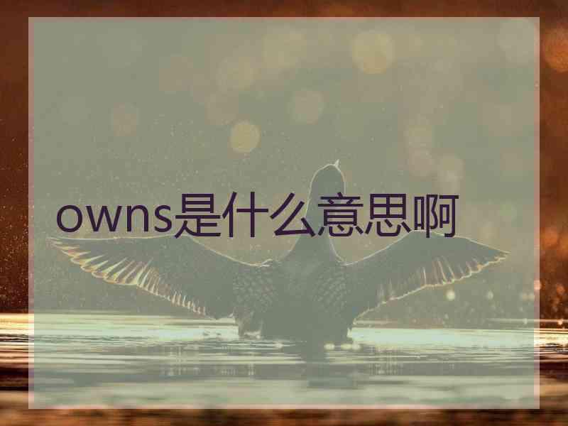 owns是什么意思啊