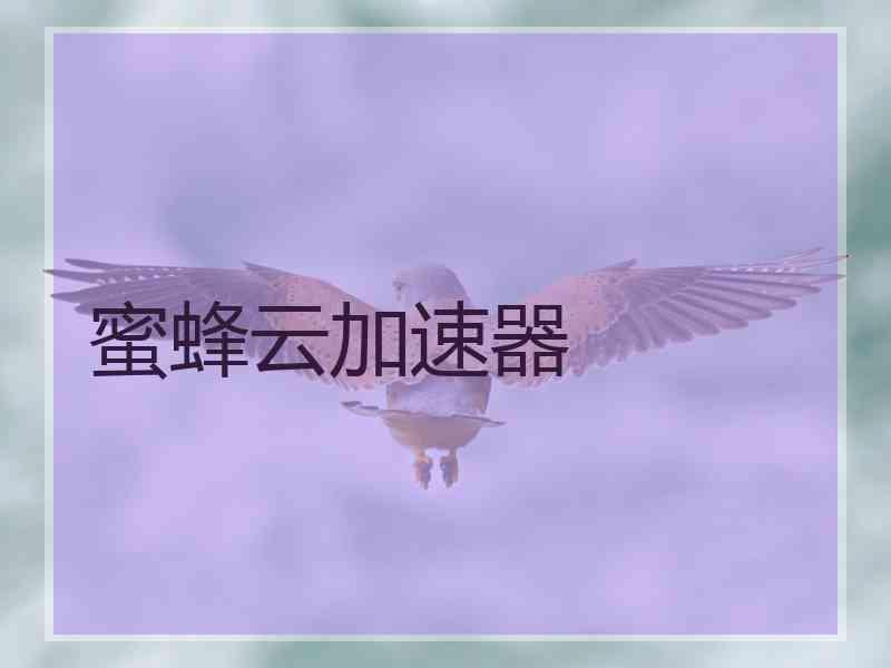 蜜蜂云加速器
