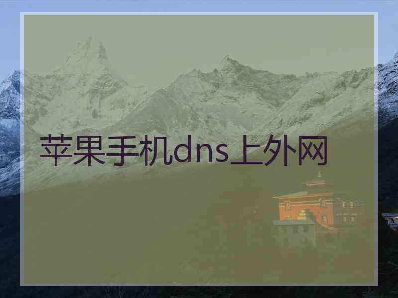 苹果手机dns上外网