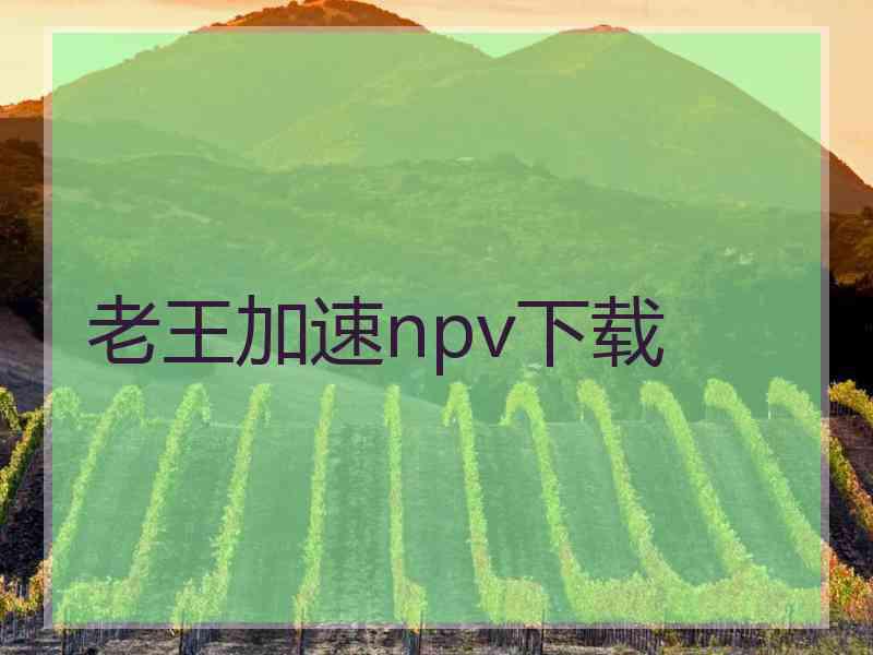 老王加速npv下载