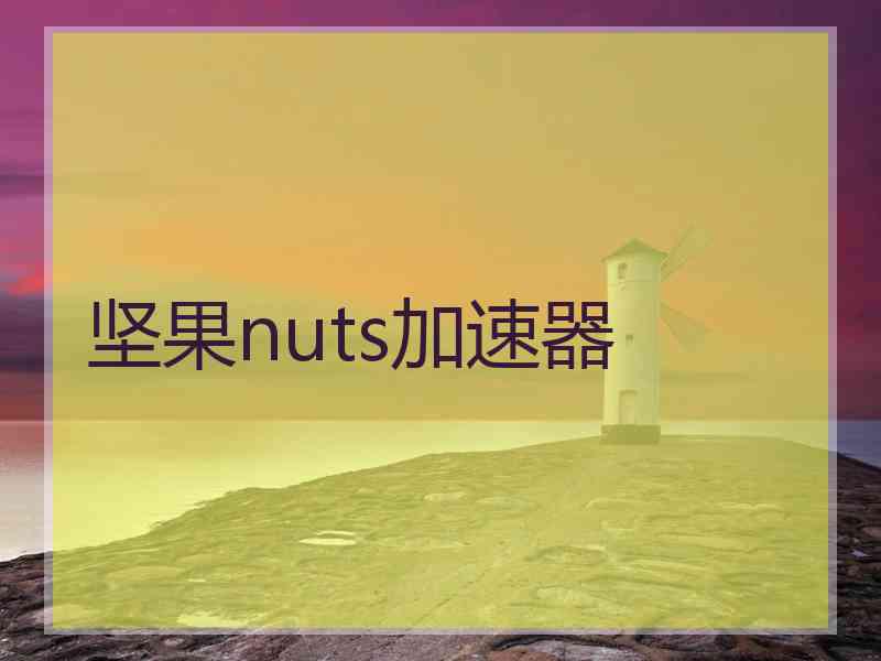 坚果nuts加速器