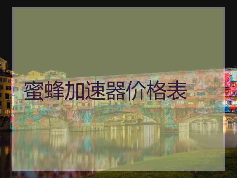 蜜蜂加速器价格表